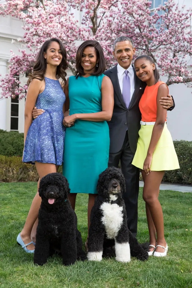 Michelle Obama has been knitting jumpers and tops for her family (Alamy/PA)