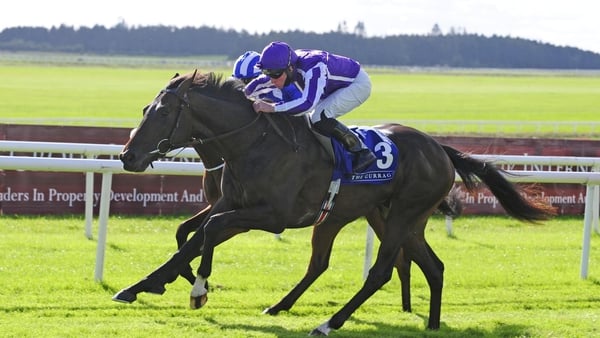 High Definition could become Aidan O'Brien's fifth winner of the Dante on Thursday