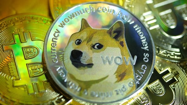 Kabosu became recognisable as the face of Dogecoin, an alternative cryptocurrency that began as a satirical critique of the 2013 crypto frenzy