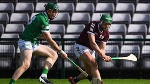'Galway have the ammunition to take on Limerick and take them down'