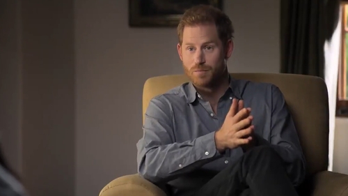 Prince Harry in The Me You Can't See