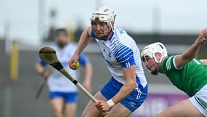 Shefflin: 'I think Waterford's strength, they're adding to their panel'