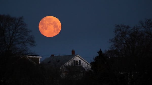 A supermoon over Boston in March 2019. Photo: Craig F. Walker/The Boston Globe via Getty Images