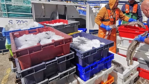 New rules for weighing fish are 'impractical'