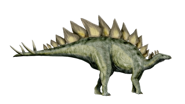 The statue was a lifelike rendition of a stegosaurus (File image)