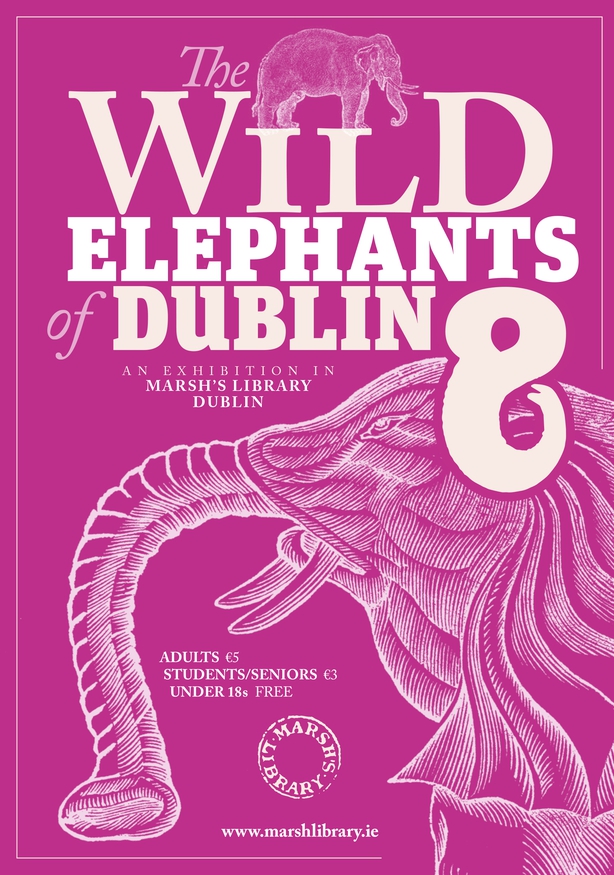 The Elephant of Belfast by S. Kirk Walsh