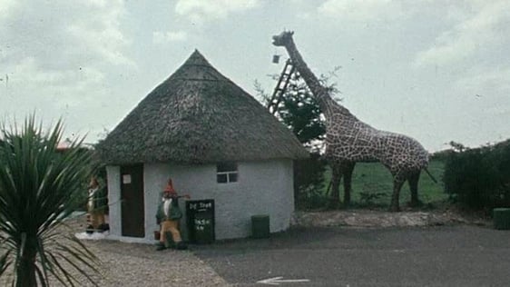 Concrete Jungle in Cork (1976)