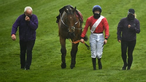Envoi Allen was pulled up by Rachael Blackmore at the Punchestown Festival