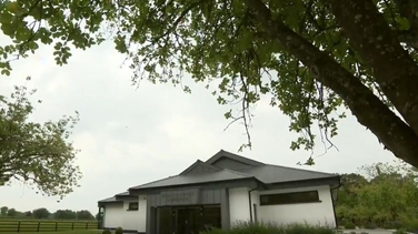 New equine attraction at the Irish National Stud