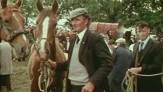 Spancil Hill Horse Fair in County Clare, 1981