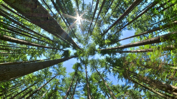The CEO of the Irish Exporters Association said businesses are not prepared for the level of detailed change which will be needed to adapt to climate targets