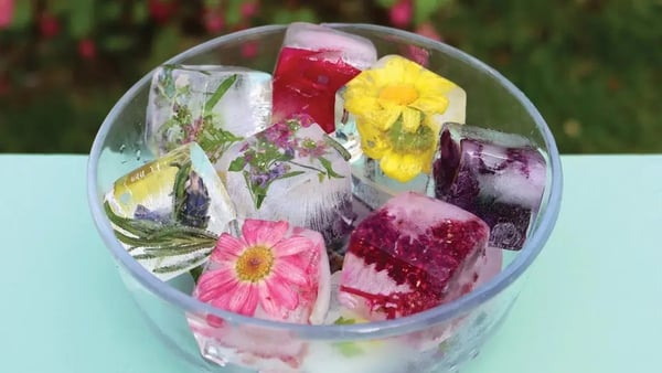 Expert Tanya Anderson offers a guide on how to freeze your favourite cut flowers into ice cubes, to add a garden twist to summer drinks.