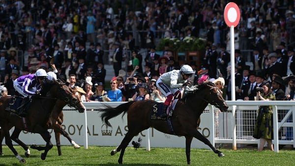 Palace Pier is the highest-rated horse in training in Britain, with an official rating of 125