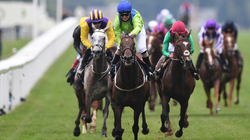 Subjectivist wins Gold Cup as Stradivarius struggles