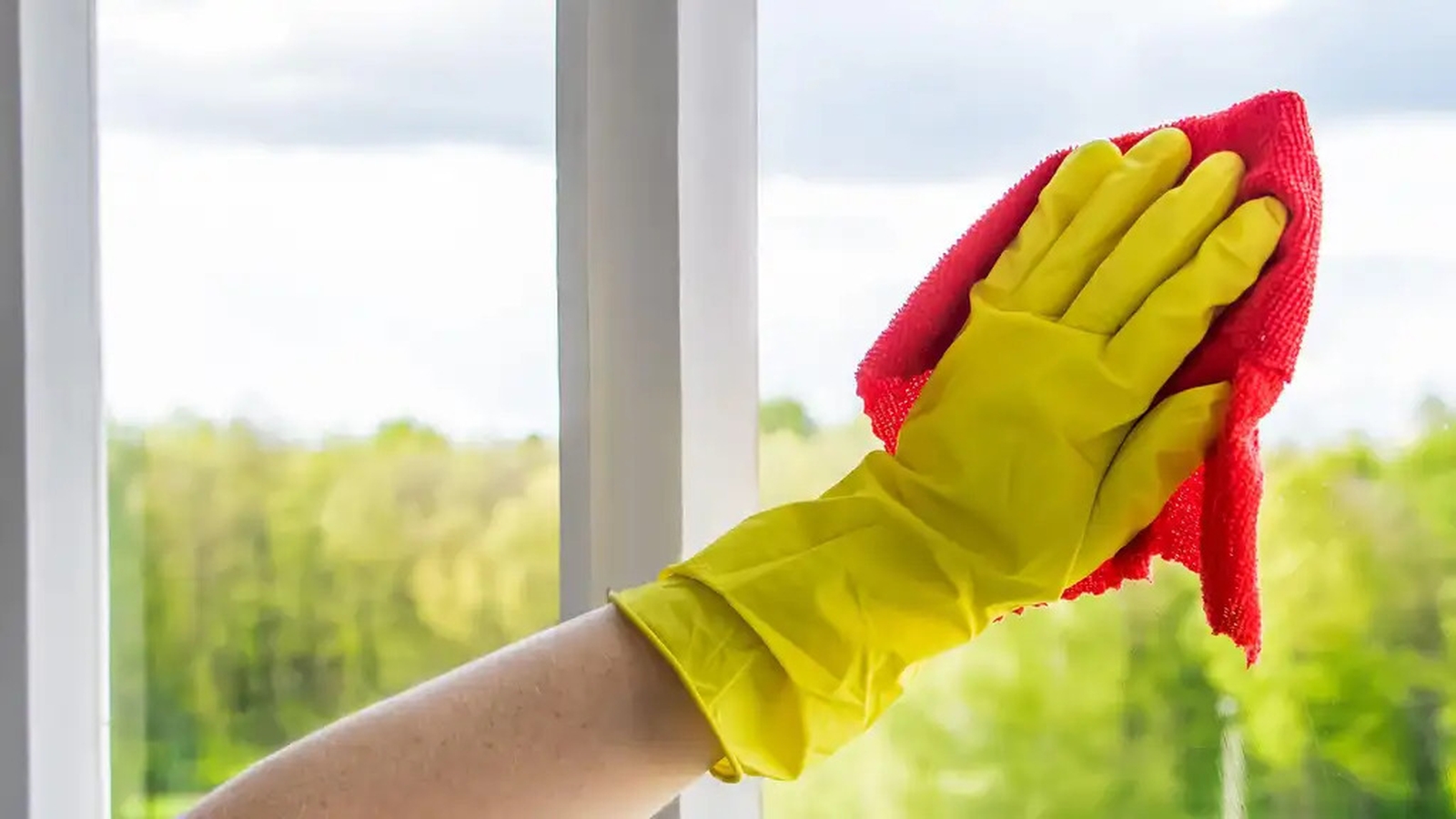 How to clean your windows like a pro