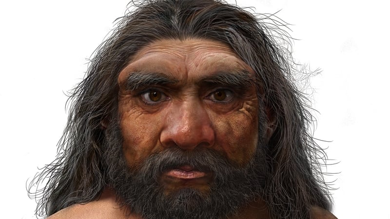 Scientists Hail Discovery Of 'Dragon Man' Human Species