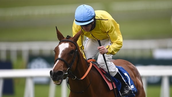 Epona Plays won the Lanwades Stud Stakes earlier this year