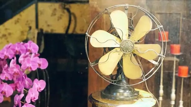 fan
