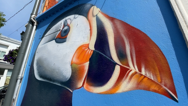Organisers say the collection of street art pieces in Dún Laoghaire forms an open-air gallery in the town