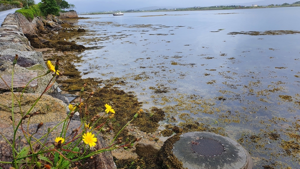 Roundstone in Co Galway was listed as one of the areas in the EPA report (file image)