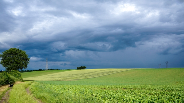 The NESC's report finds any just transition will involve a wide range of measures relating to shifts in land and soil management practices, as well as reducing emissions from livestock