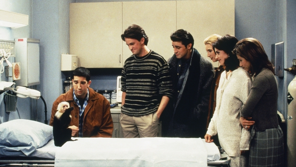 A scene with Marcel in Friends episode The One with Two Parts: Part 1 in 1995. Photo by NBCU Photo Bank/NBCUniversal via Getty Images via Getty Images