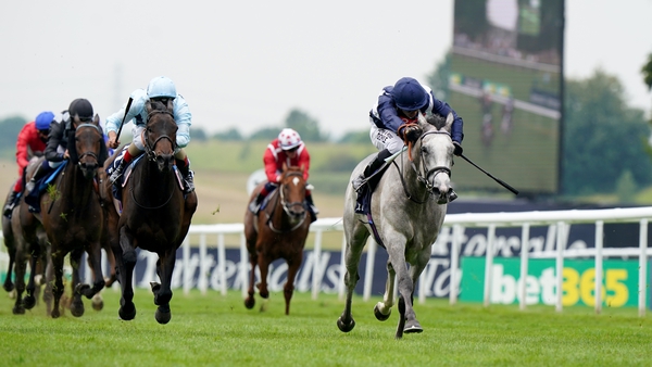The Falmouth form could prove a crucial piece of the Prix Rothschild puzzle