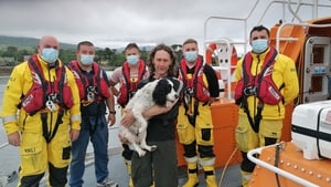 Lucky and his owner spent a cold night on rocks off Cork before being rescued by the RNLI