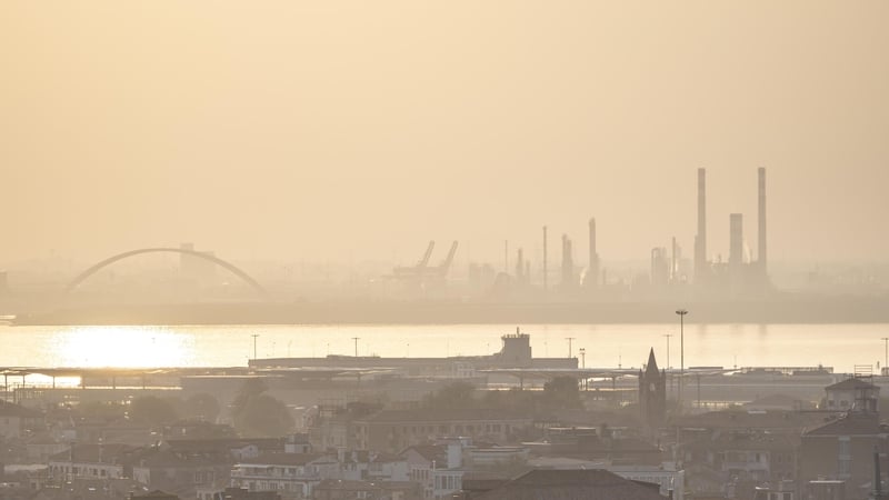 Trump & The Greenhouse