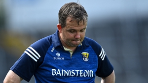 Wexford manager Davy Fitzgerald during the closing stages of the defeat to Clare