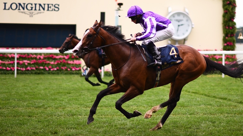 All eyes will be on Point Lonsdale at the Curragh