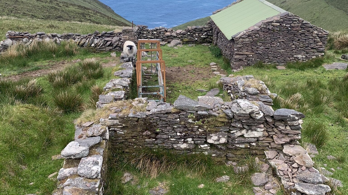 An Saol ó Dheas An Saol ó Dheas