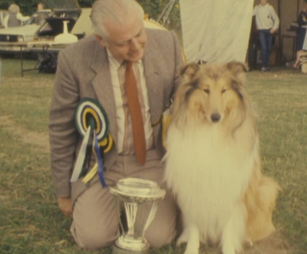 Monkstown Championship Dog Show (1981)