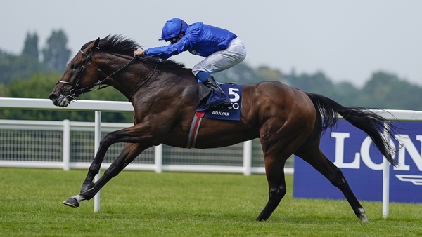 Adayar hasn't been seen at the racecourse since running fifth in last season's Champion Stakes at Ascot