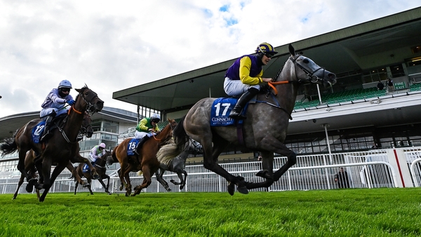 Run For Mary chased home handicap snip Princess Zoe in last season's Connacht Hotel Handicap