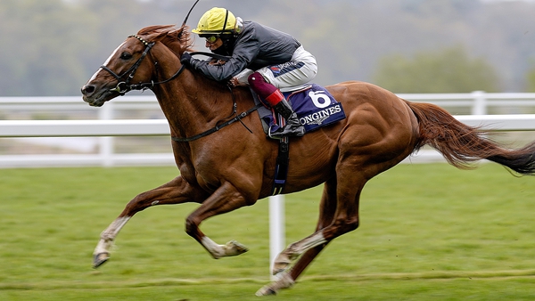 John and Thady Gosden opted not to run Stradivarius following a change in the ground conditions