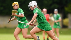 Limerick's Megan O'Mara in action during this year's Munster championship