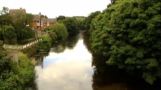 River Liffey Pollution (2001)