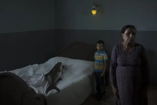 (Morteza Niknahad/Wellcome Photography Prize/PA)