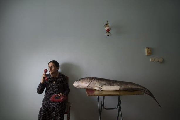 (Morteza Niknahad/Wellcome Photography Prize/PA