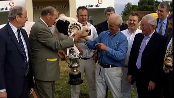 Champion Dairy Cow at the Virginia Agricultural Show (2006)