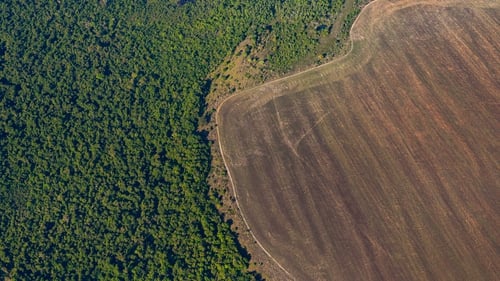 Aerial view of deforestation in the Amazon caused by the expansion of agricultural areas (file image)
