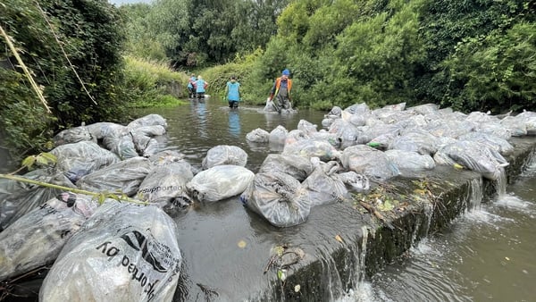 The Dodder Action Group says this is the largest single clean up that it has ever done.