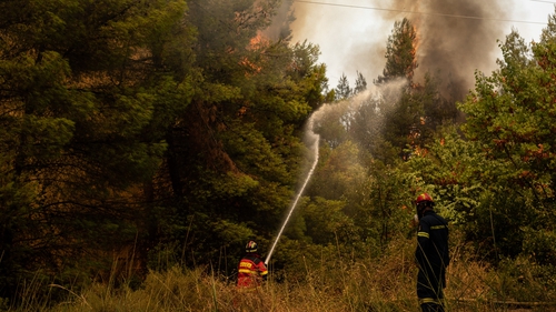 Firefighters tackle flames on Evia island