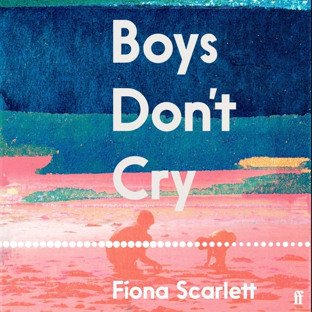 Not the Same Sky by Evelyn Conlon Not the Same Sky by Evelyn Conlon