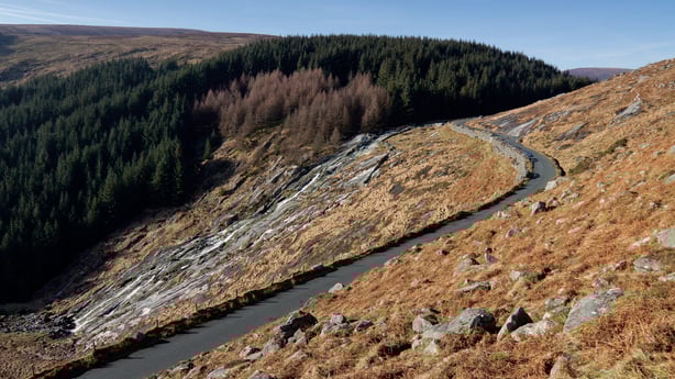 Sally Gap