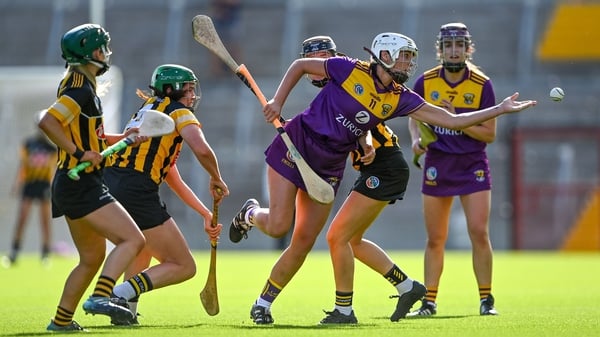 Kilkenny proved too strong for Wexford
