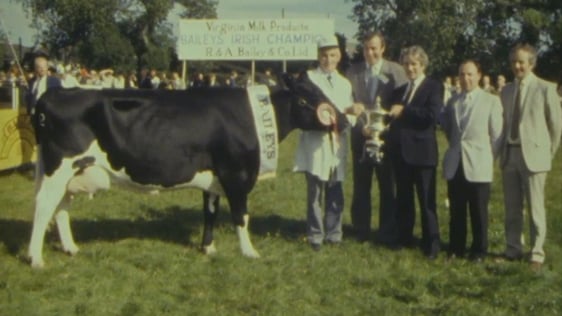 Dairy Cow Champion (1986)