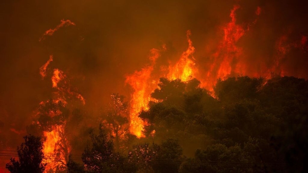 A wildfire burning last week in a forest on the outskirts of Athens