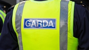 Gardaí are asking affected families to contact them